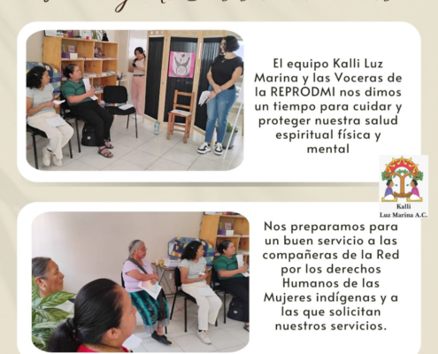 ManejoDeCrisisEmocionales